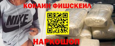 тгк Камышлов