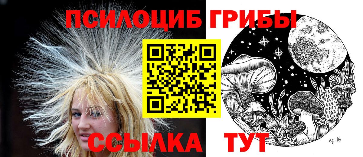 дарнет шоп  Псилоцибиновые грибы ЛСД  Ленинск-Кузнецкий  Вход с VPN  Галлюциногенные грибы GOLDEN TEACHER 